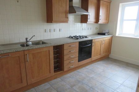 Trujillo Court - Photo 4