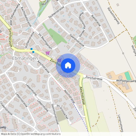 Lebernstr. 9, Schweiz, 8123, Ebmatingen