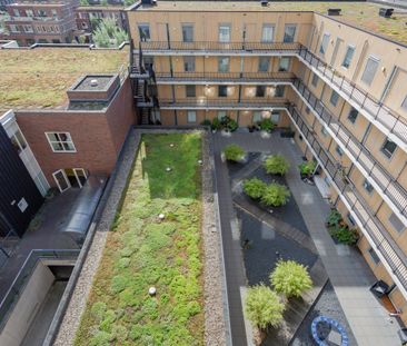 F Dietrich Kahlenbergstr 50C, 1087LL Amsterdam - Photo 4