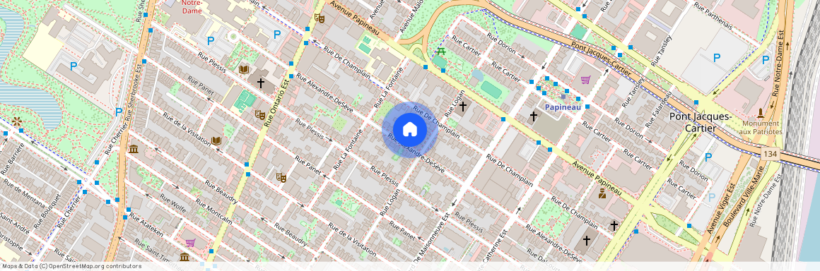 1679 Rue Alexandre-DeSève, Ville-Marie, Ville-Marie, Ile de Montréal, H2L 2X6