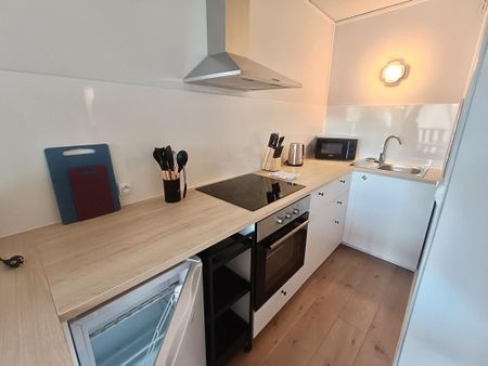 Location Appartement 1 pièce Meublé 27m² MONT DE MARSAN 40000 - Photo 3