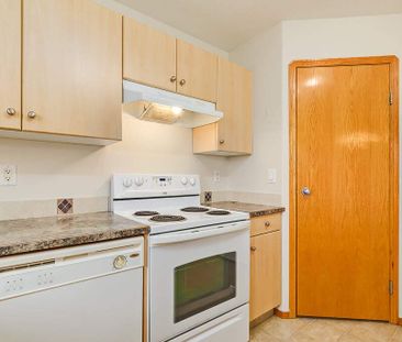 Renovated Suite - 3 Bedroom - Photo 6
