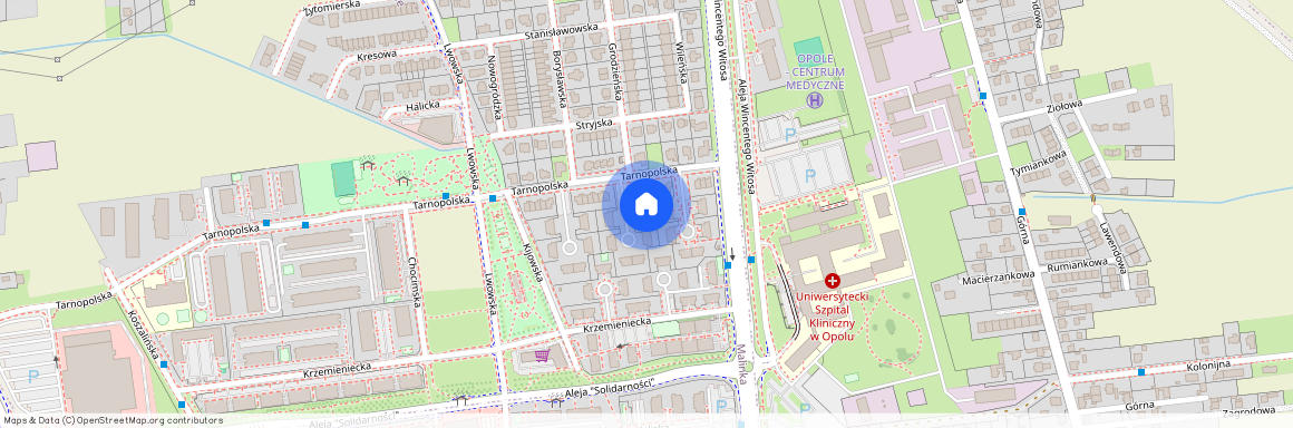 ul. Tarnopolska, Malinka, Opole, opolskie