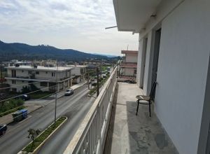 Διαμέρισμα για ενοικίαση - Σπάρτη, - Φωτογραφία 3