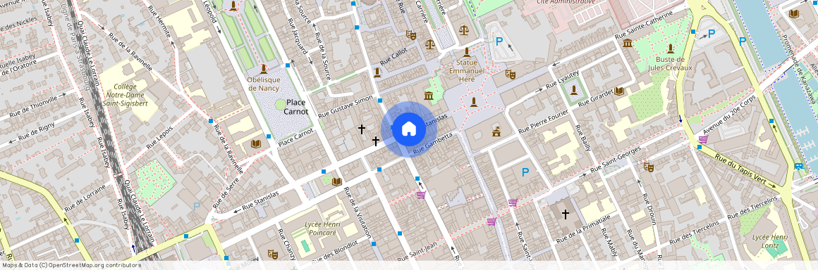 25 Rue Stanislas, 54100, Nancy