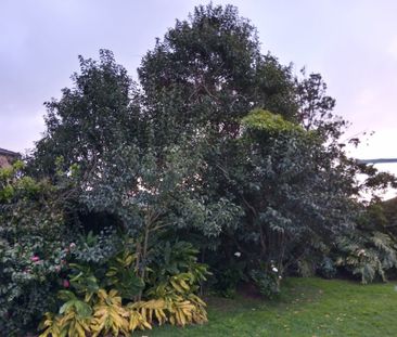 Mount Waverley - Photo 4