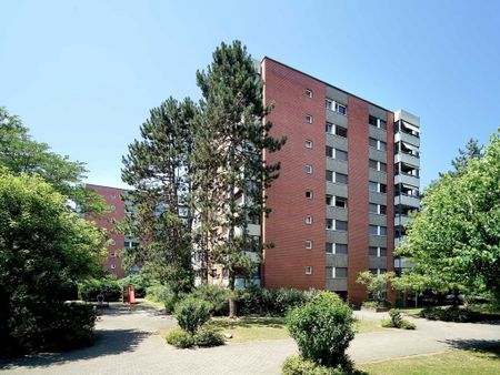 3.5 Zimmer, 81 m², 3. Stock - Photo 2