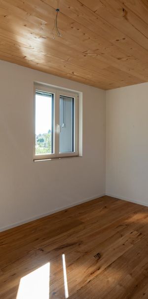 3.5 Zimmer, 47 m², EG - Foto 1