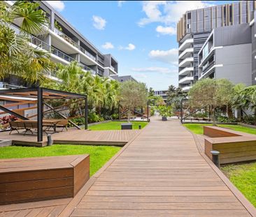 414/9 Archibald Avenue, Waterloo NSW 2017 - Apartment For Rent | Do... - Photo 6