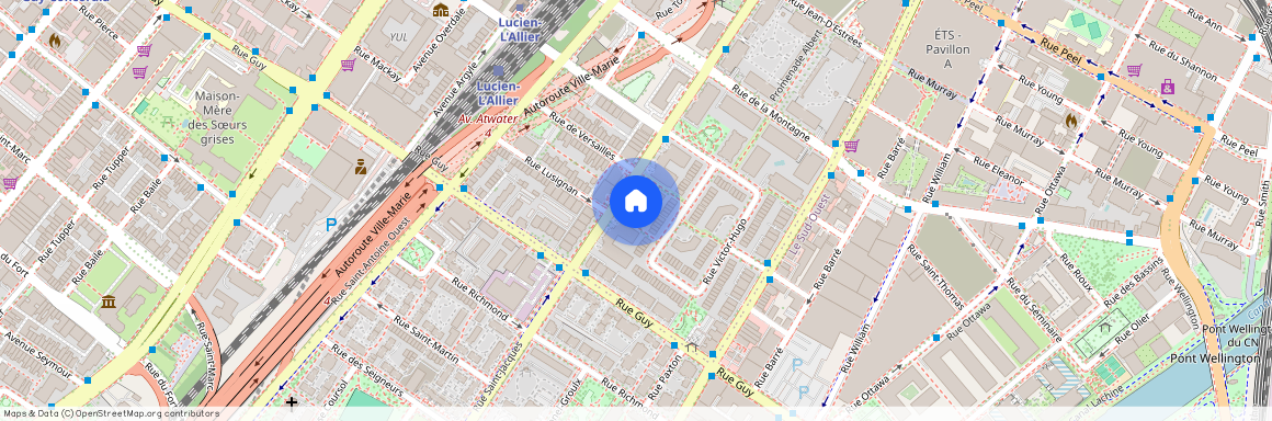 Nouveauté, 1470 Rue St-Jacques, app. 4, Montréal (Ville-Marie), H3C4J4