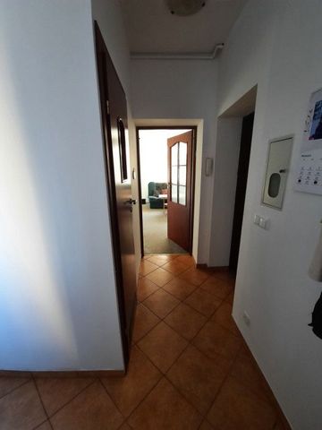 Długi Termin Zwierzęta Parking Gdynia Śródmieście - Photo 4