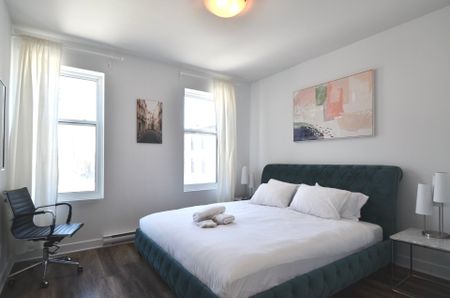 Condo à louer, Montréal (Le Plateau-Mont-Royal) - Photo 5