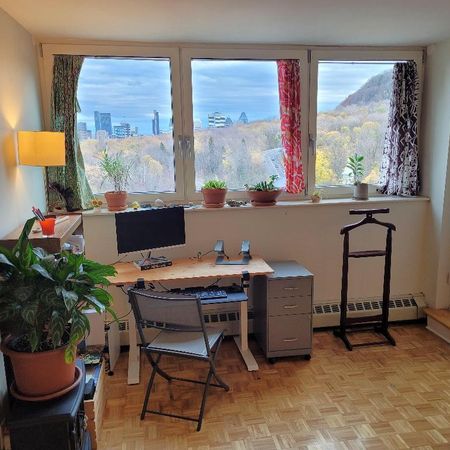 Great views and steps from the mountain! - Lease transfer - Photo 4