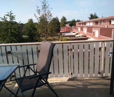 EINDHOVEN, Graspieper - Foto 3