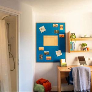 Room in a Shared House, Maplin Street, E3 - Photo 2