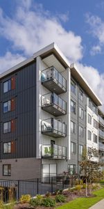 Monarch Apartments - Photo 4