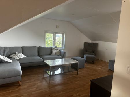 Carlbergsgatan, Göteborg - Photo 3