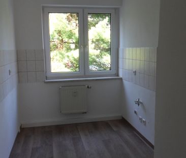 2-Raum-Wohnung mit Balkon in ruhiger und grüner Lage - Foto 3