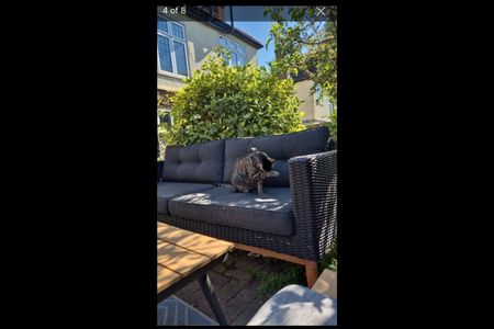 Room in a Shared House, Glennie Road, SE27 - Photo 5