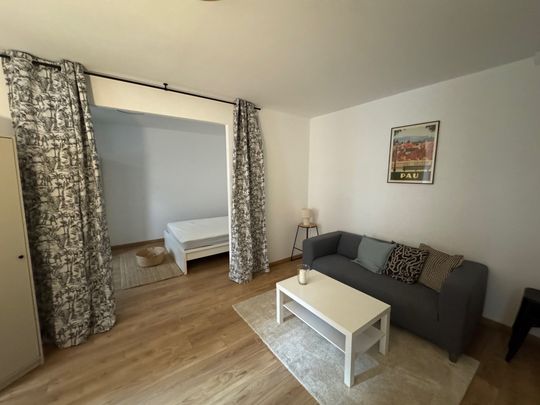 Location Appartement 2 pièces 34m² PAU 64000 - Photo 1
