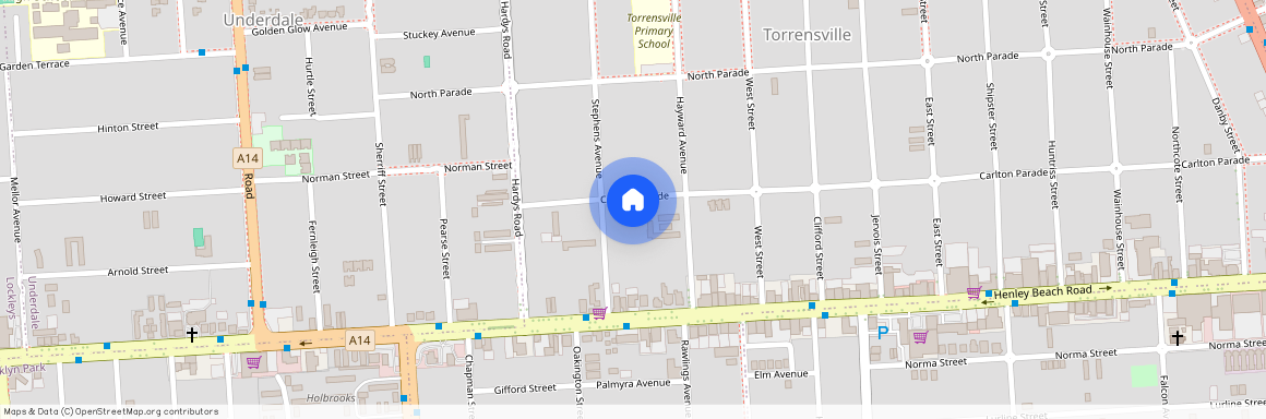 101 Carlton Parade, SA 5031, Torrensville