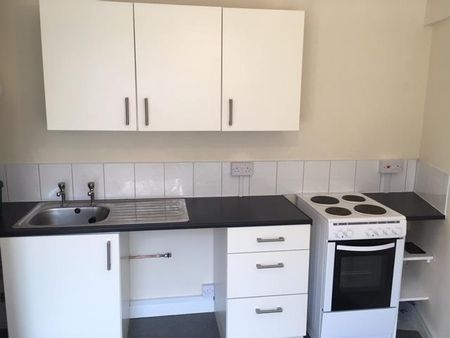 Baptist Well Place, SWANSEA - Photo 4