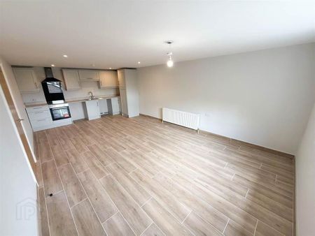 Luxury Apartments, Slieve Gullion Court, Meigh, BT35 8JT - Photo 5