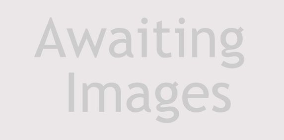 Dickinson Street - Photo 2