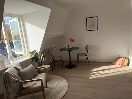 Gemeubileerde studio te huur nabij Wilhelminapark - Foto 4