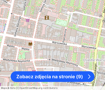Na wynajem duża kawalerka | 46 m² | centrum – zdjęcie 1