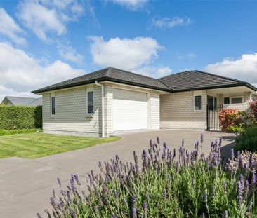 McNaughton Place, Onekawa - Photo 1