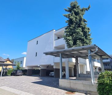 Neuwertige, wunderschöne 3-Zimmer-Wohnung mit großen Süd-Balkon, Ca... - Photo 2