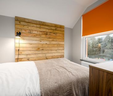 1 bedroom in a house share to rent - Photo 4