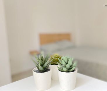 Plaza Gelo, Sevilla, Andalusia 41009 - Photo 4