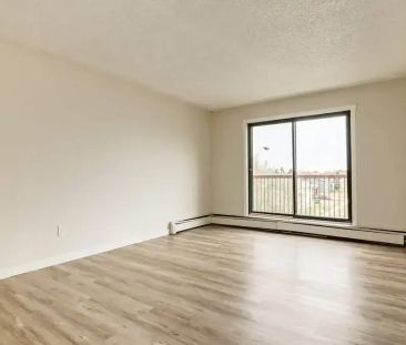 1 Bedroom - Photo 1