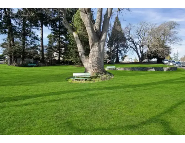 707 Esquimalt Rd | 707 Esquimalt Rd, Victoria - Photo 1