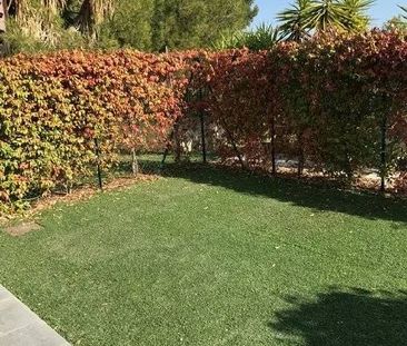 Location Appartement - Photo 5