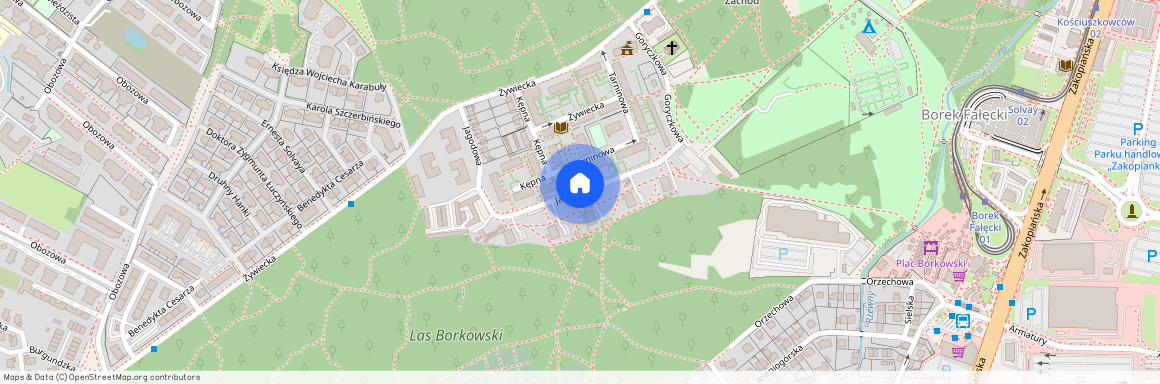 ul. Jagodowa, Borek Fałęcki, Łagiewniki-Borek Fałęcki, Kraków, małopolskie