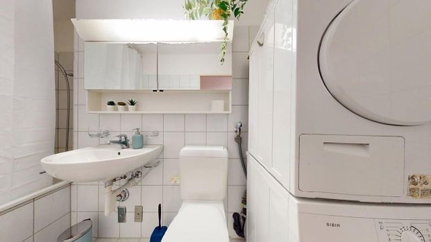 Neugasse 83 – Spacieux appartement de 2 chambres récemment meublé au cœur de Zurich ! - Foto 1