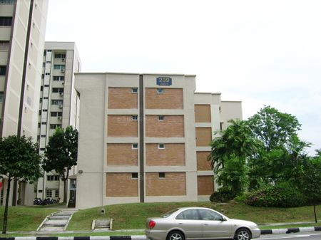Blk 239 Tampines Street 21 (Tampines), HDB 4 Rooms - For Rent - Photo 5