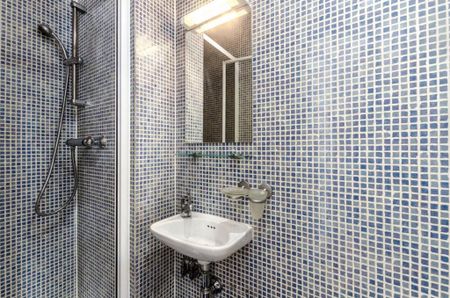 Flat 18 Gloucester Street, Pimlico SW1V 2DB - Photo 4