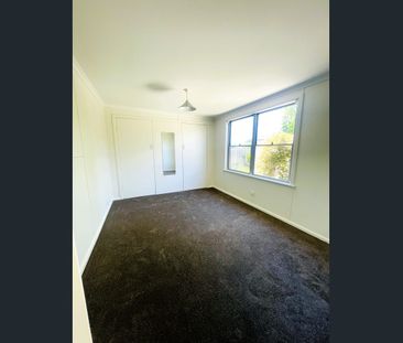 Freshly Updated Family Home With Spacious Yard in Central Sale - Photo 2