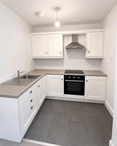 20 Windsor Drive, Belfast, BT9 7FH - Photo 5