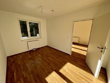 WINTERAKTION – Erster Monat Mietfrei! Charmante 2-Zimmerwohnung mit Balkon - Foto 4