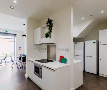 Bronze Shared House - Photo 5