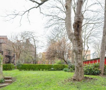 Room in a Shared Flat, Amazing Double Room In Camberwell/Ov, SE5 - Photo 5