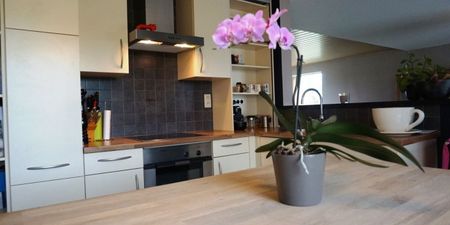 Koppelwoning te huur in Zomergem voor € 1.050 met 3 slaapkamers - Foto 4