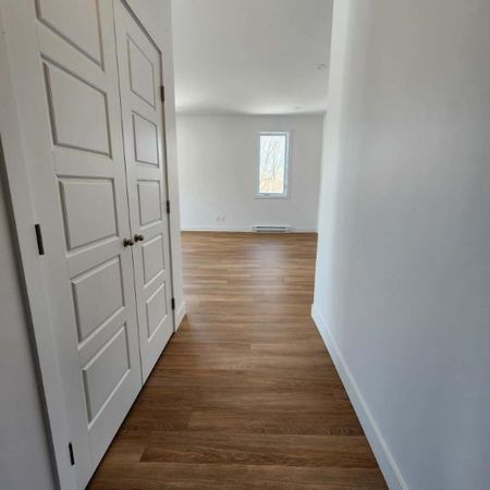 5 1/2 rue Bertrand-Fabi TOUT INCLUS - Photo 4