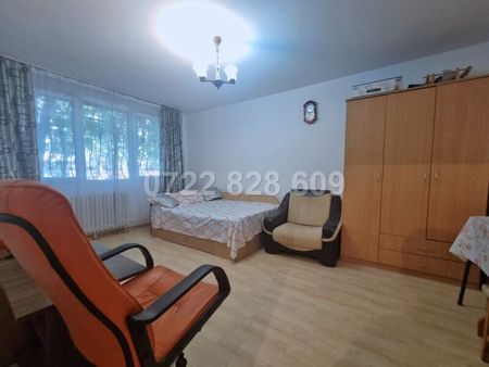 Berceni, Izvorul Rece, Resita - Photo 3