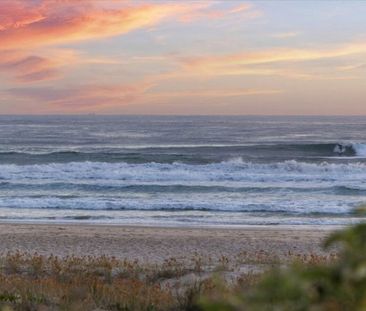 Palm Beach - Photo 4